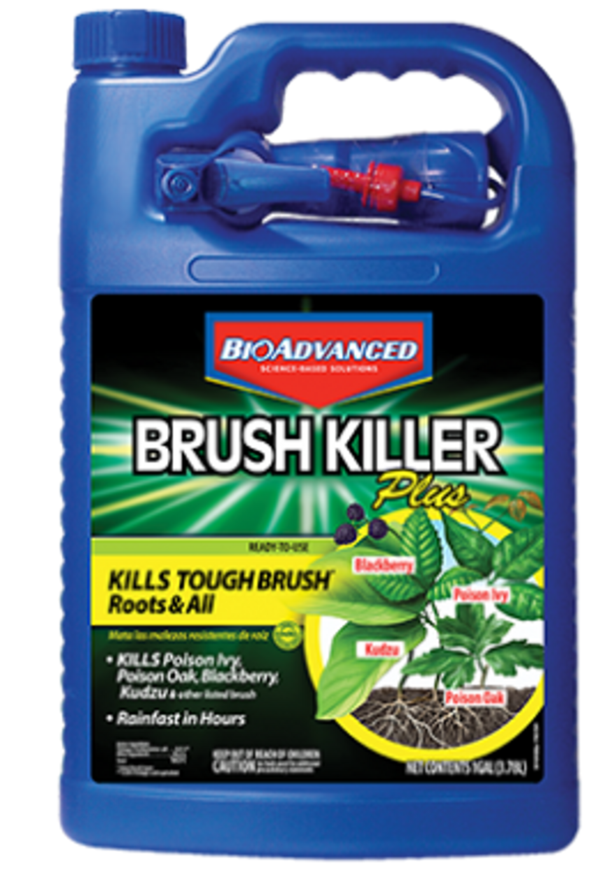 Bayer Brush Killer Plus, 1 gal